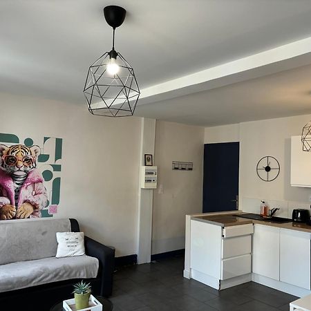 Spacieux, Climatise, Quartier Calme, Proche Chateau, Le Cocon De Joy Каркассон Экстерьер фото
